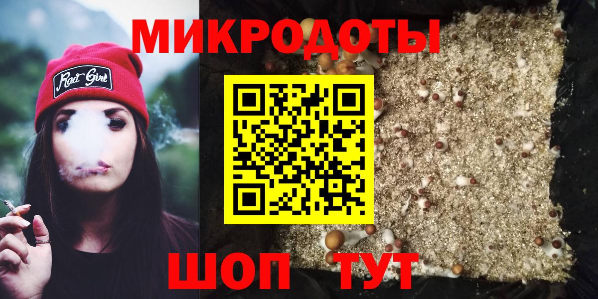где купить   Псилоцибиновые грибы GOLDEN TEACHER  Вход с VPN  Благовещенск  Псилоцибиновые грибы Magic Shrooms 