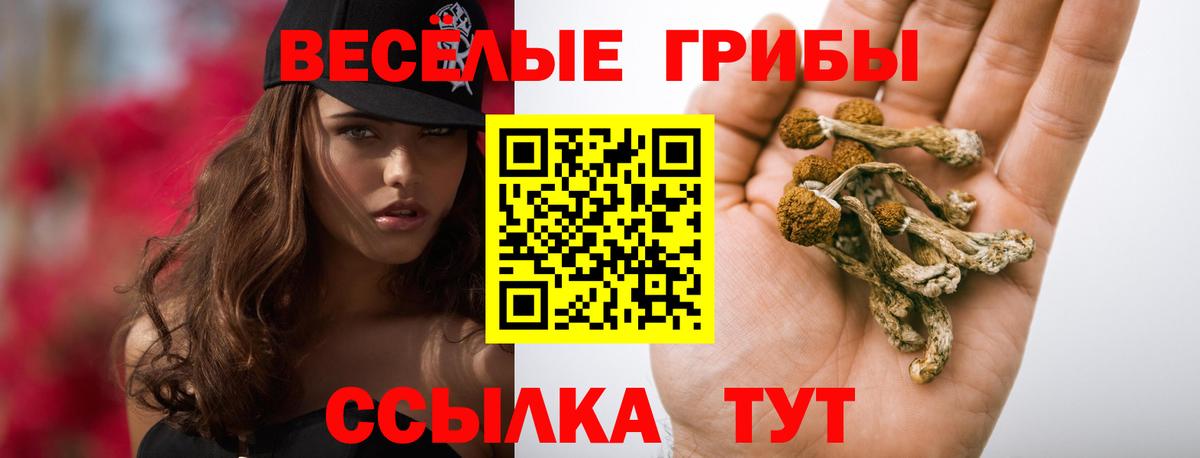Галлюциногенные грибы мицелий Благовещенск